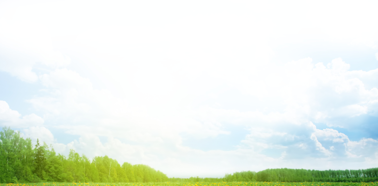 Bosque